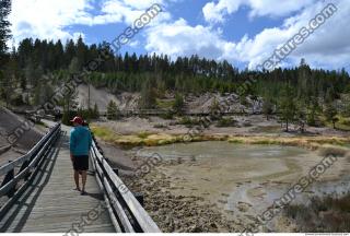 Photo Reference of Background Forest